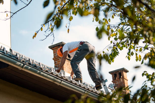 Best Metal Roofing Contractor  in Troy, OH
