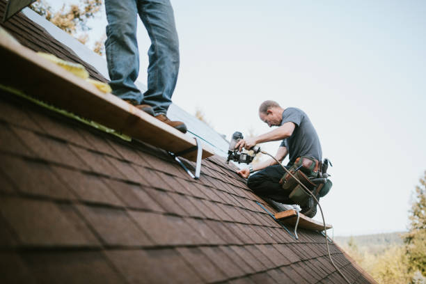 Best Storm Damage Roof Repair  in Troy, OH